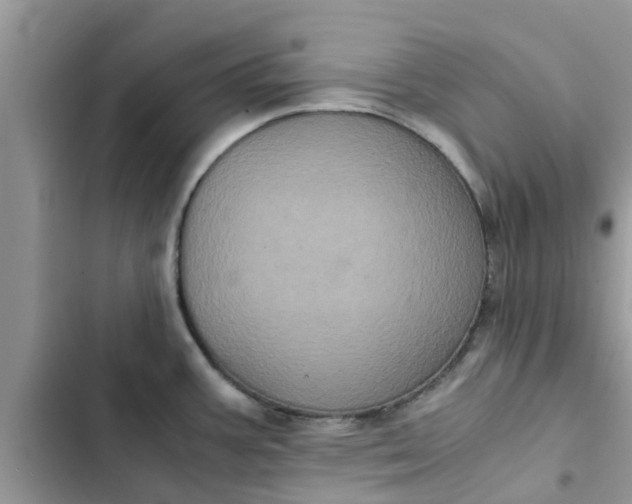 X0000102341387200808151718