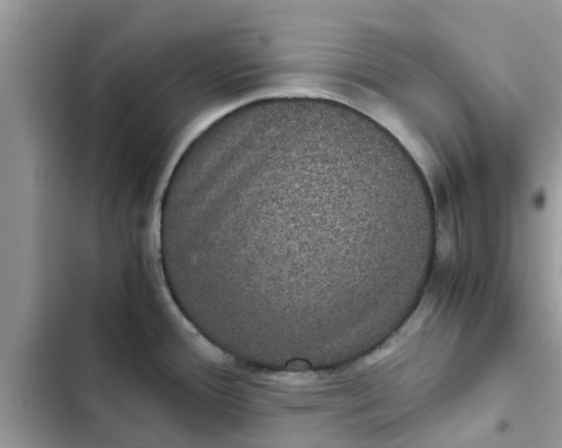 X0000102341388200808151718