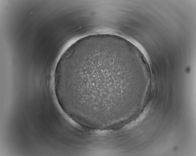 X0000102341389200808151718