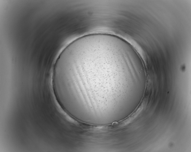 X0000102341390200808151718