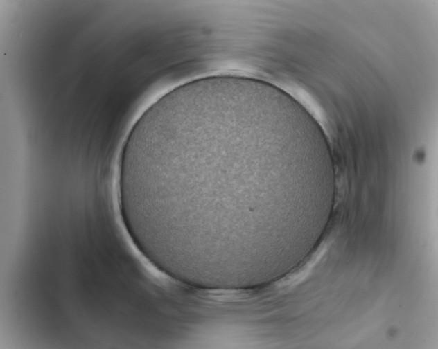 X0000102341391200808151718