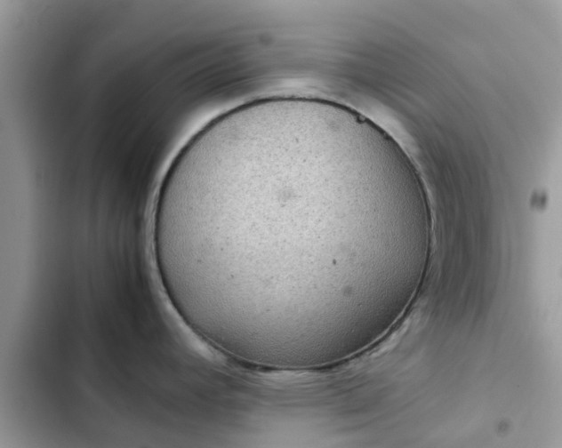 X0000102341392200808151718