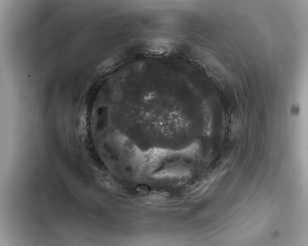 X0000102341394200808151717