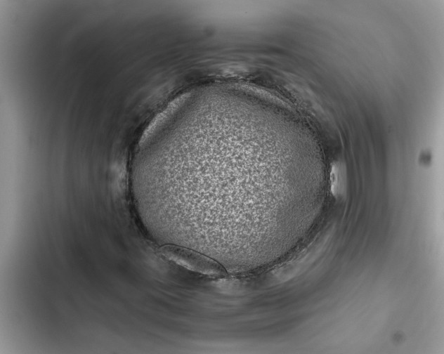 X0000102341395200808151717