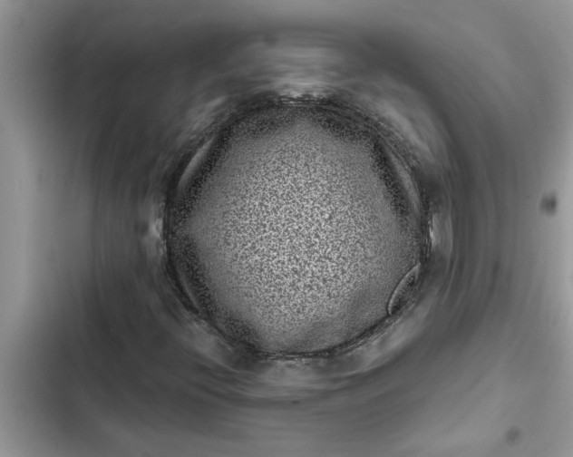 X0000102341396200808151717