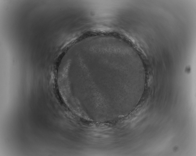 X0000102341397200808151717