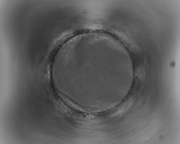 X0000102341398200808151717