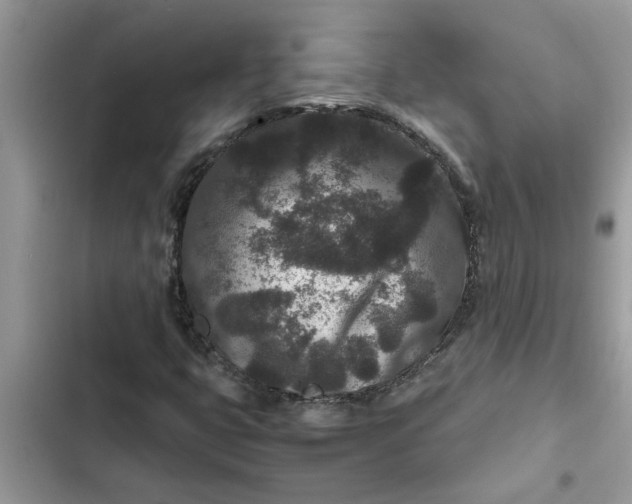 X0000102341399200808151717