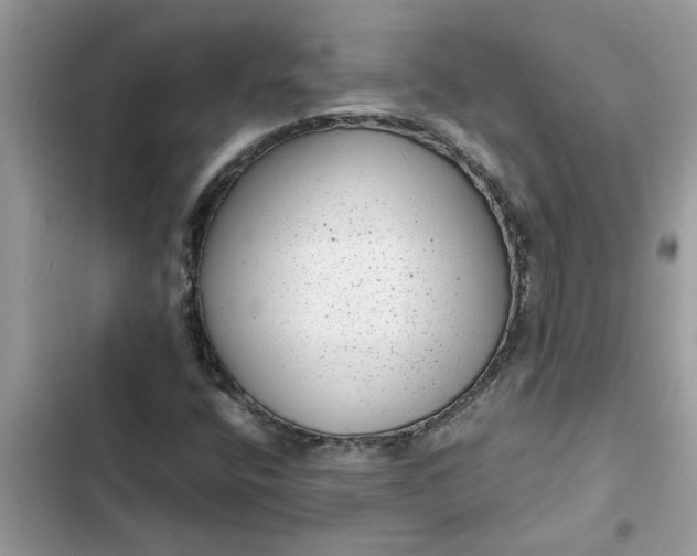 X0000102341400200808151717