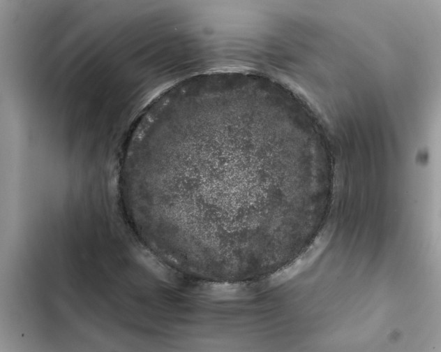 X0000102341401200808151717