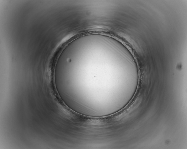 X0000102341402200808151717