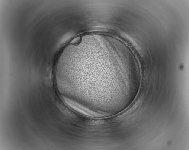 X0000102341403200808151717