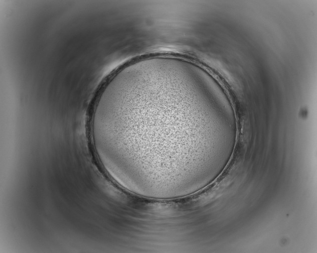 X0000102341404200808151717