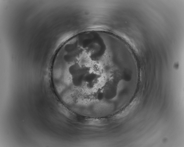 X0000102341405200808151717