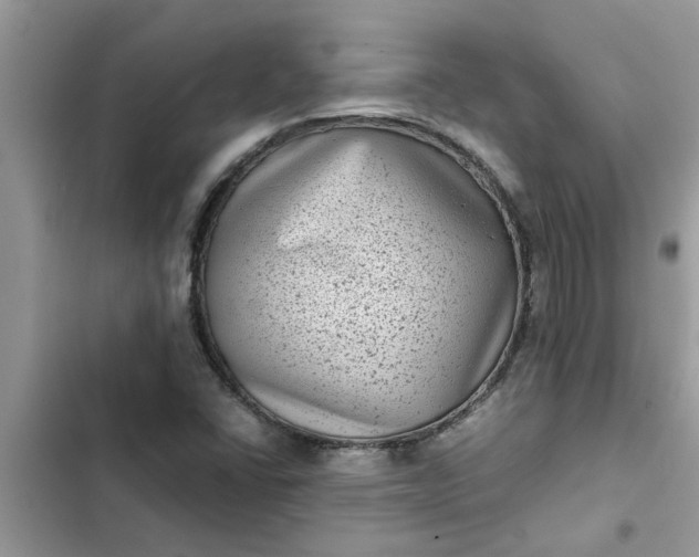 X0000102341406200808151717