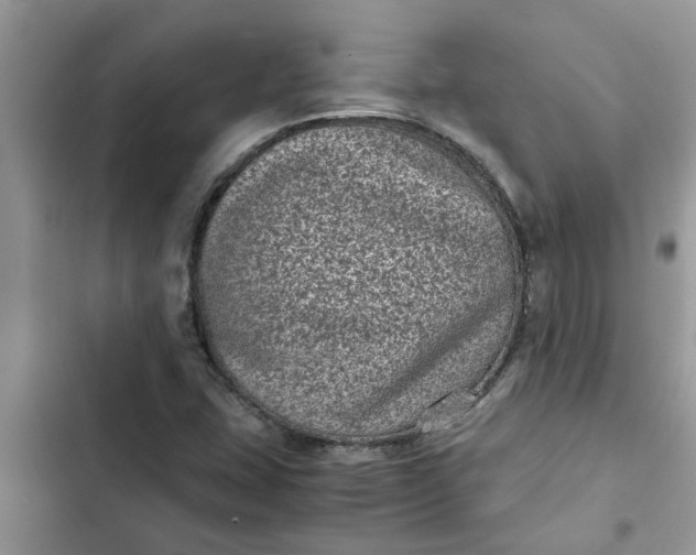 X0000102341407200808151717