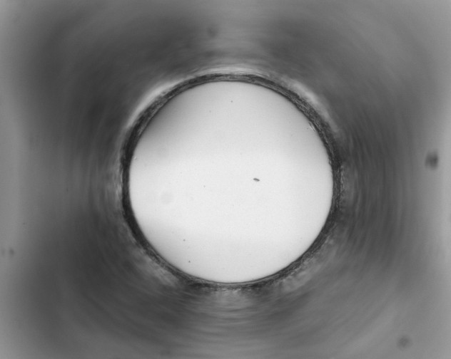 X0000102341408200808151717