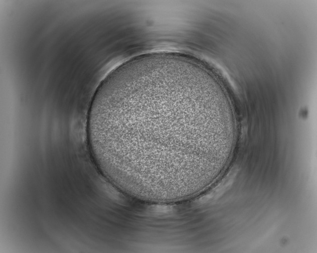 X0000102341409200808151717