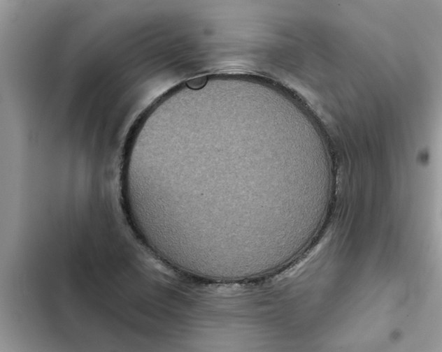 X0000102341410200808151717