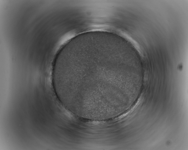 X0000102341411200808151717