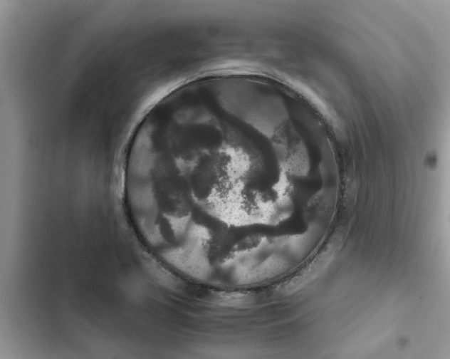 X0000102341413200808151717