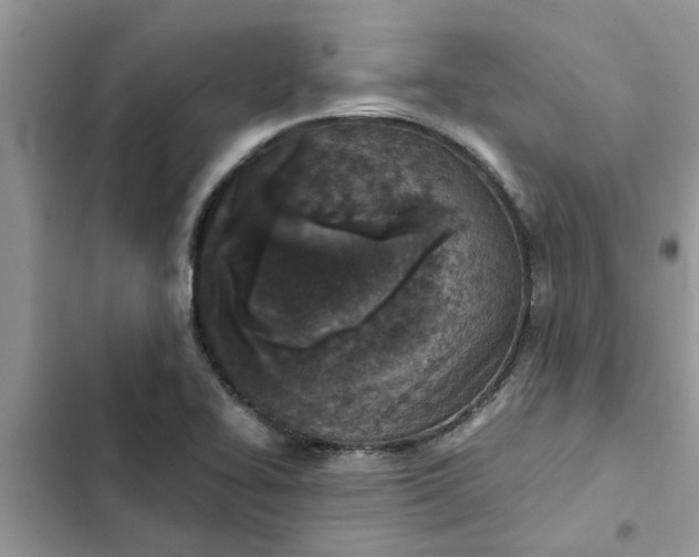 X0000102341414200808151717