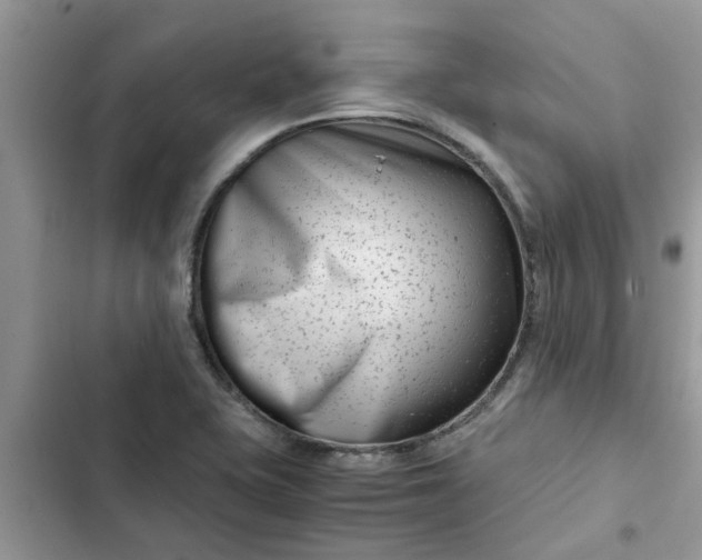 X0000102341415200808151718