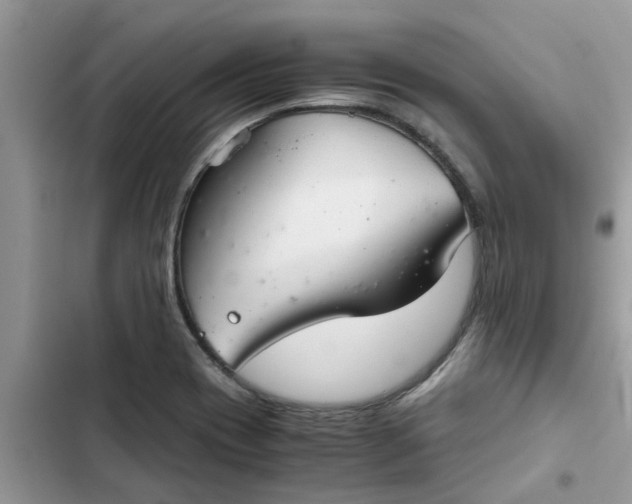 X0000102341417200808151718