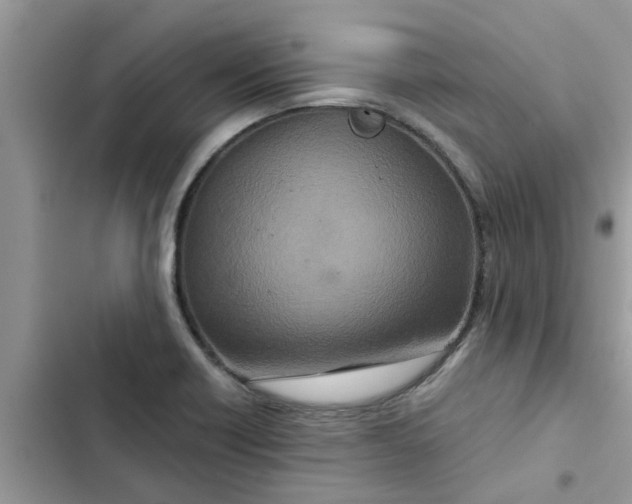 X0000102341418200808151718