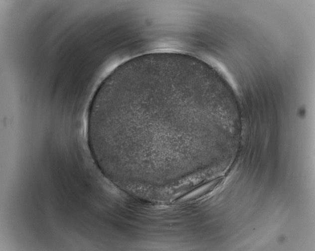 X0000102341419200808151718