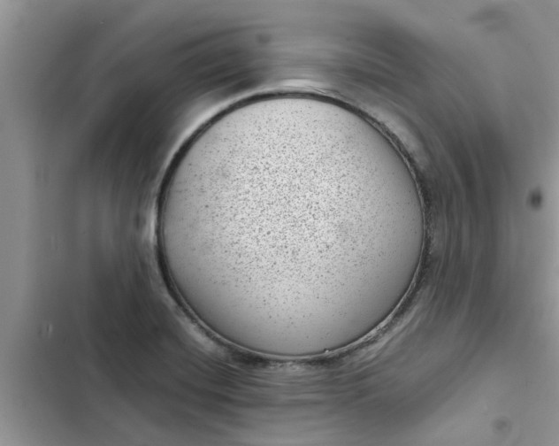 X0000102341420200808151718