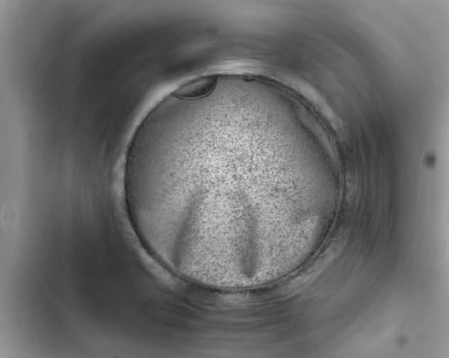 X0000102341421200808151718