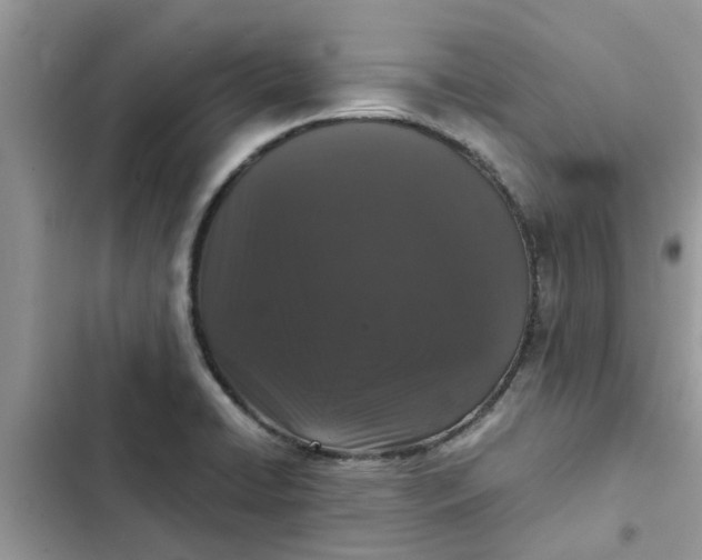 X0000102341422200808151718