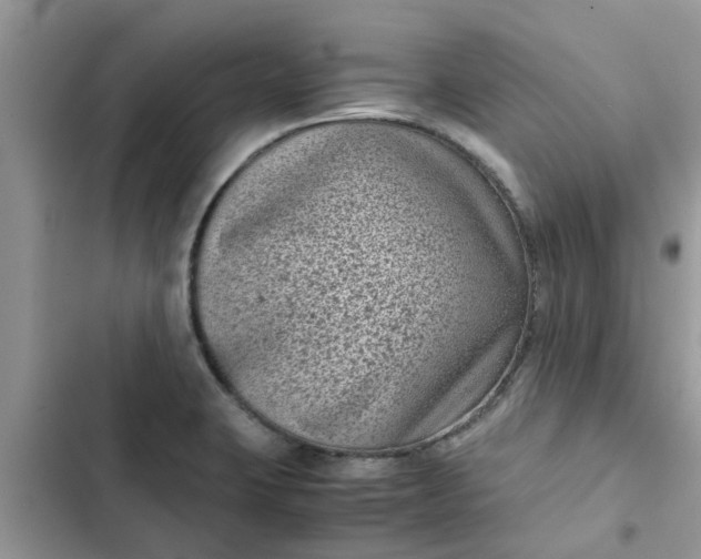 X0000102341423200808151718