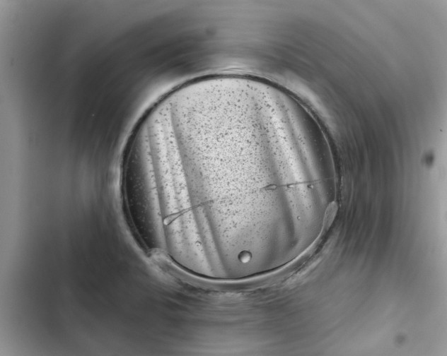 X0000102341424200808151718