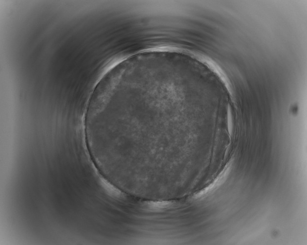 X0000102341425200808151718