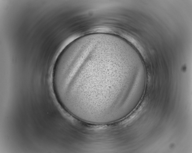 X0000102341426200808151718