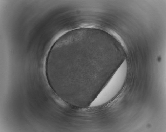 X0000102341427200808151718