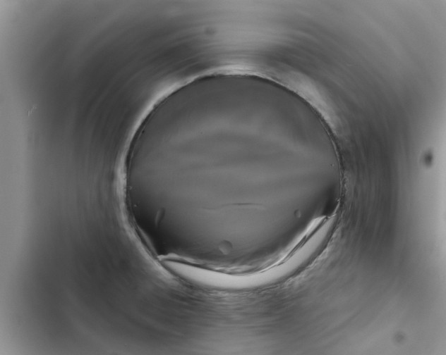 X0000102341428200808151718