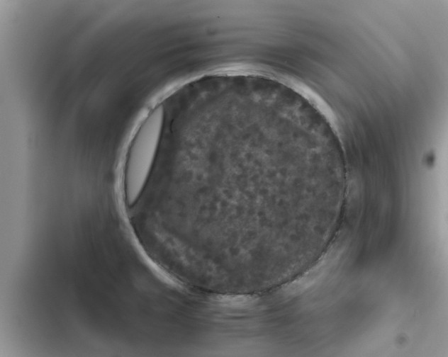 X0000102341429200808151718