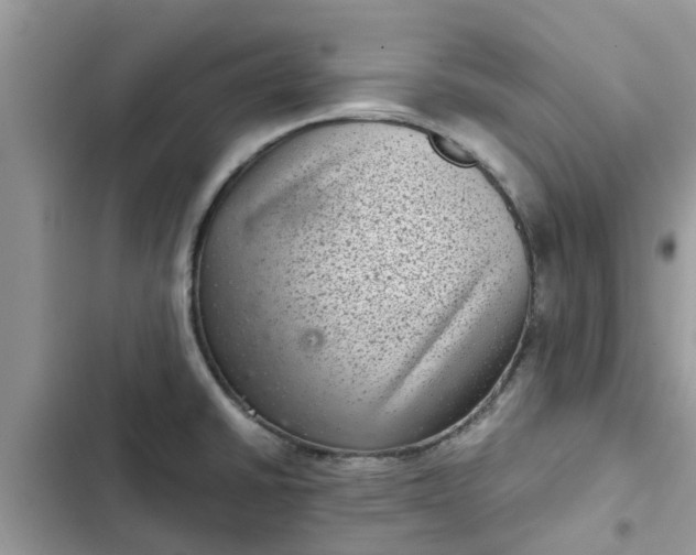 X0000102341430200808151718