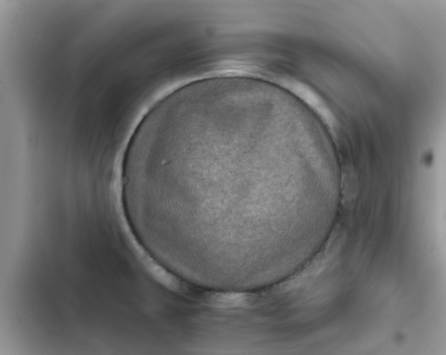 X0000102341431200808151718