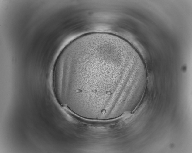 X0000102341432200808151718