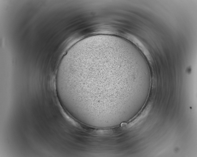 X0000102341433200808151718