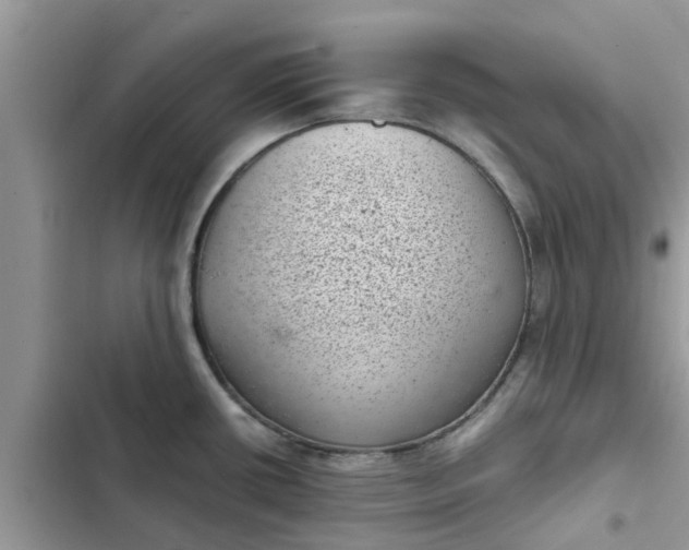 X0000102341434200808151718