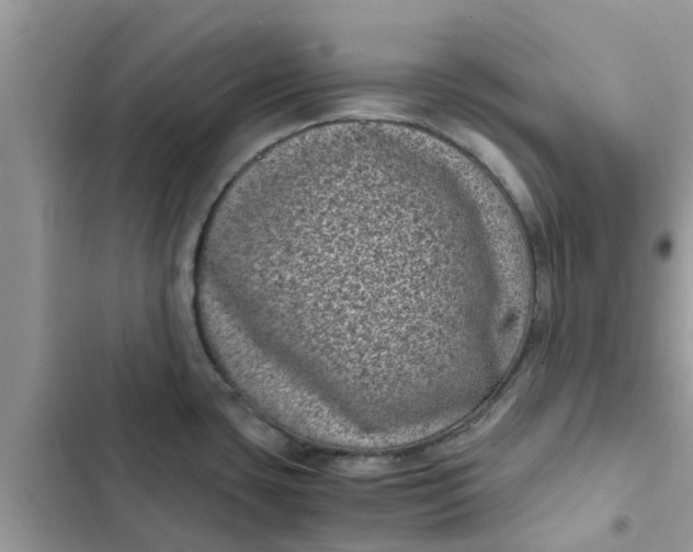 X0000102341435200808151718