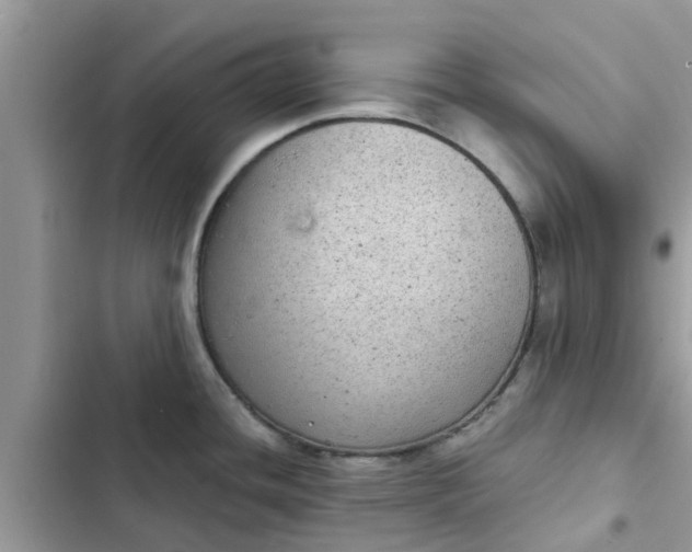 X0000102341436200808151718