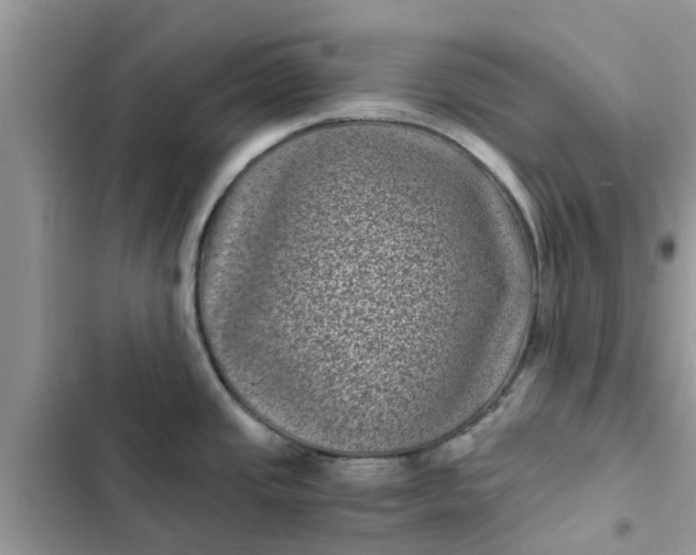 X0000102341437200808151718