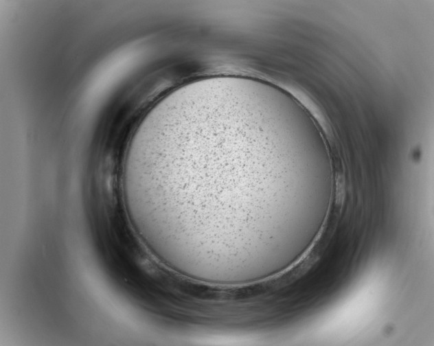 X0000102341438200808151718