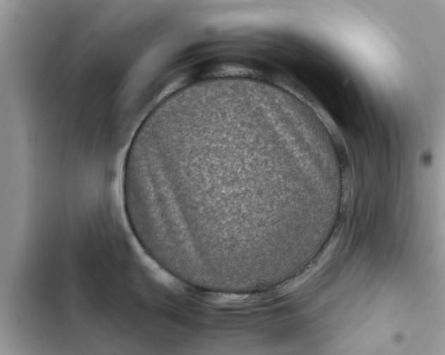 X0000102341439200808151718